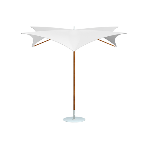 Manta